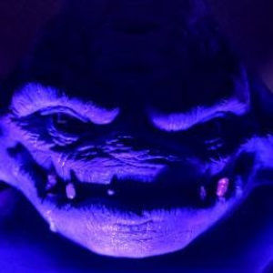 Meet your Posher, Adam